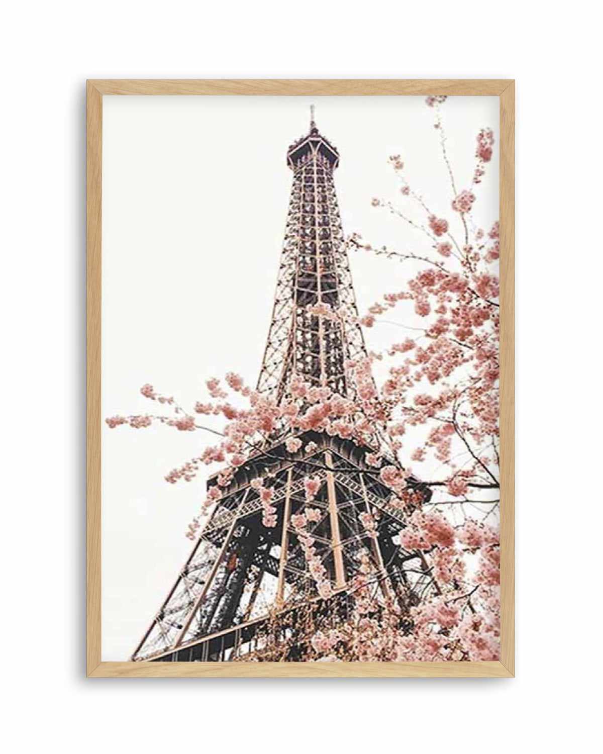 Parisian Blooms II | Square Art Print