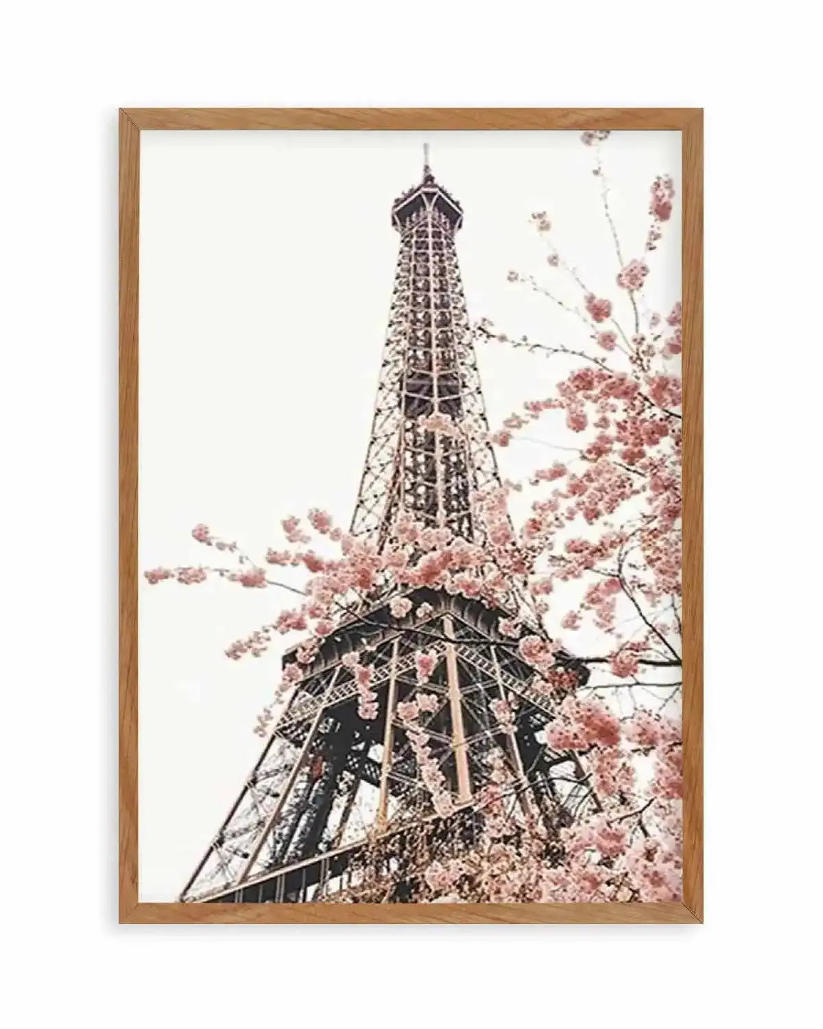 Parisian Blooms II | Square Art Print from Olive et Oriel where you can shop wallpaper and artworks online