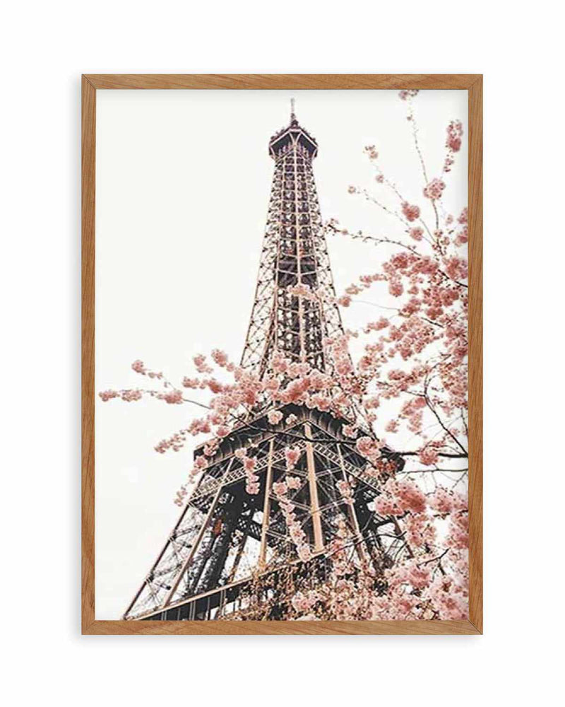 Parisian Blooms II | Square Art Print