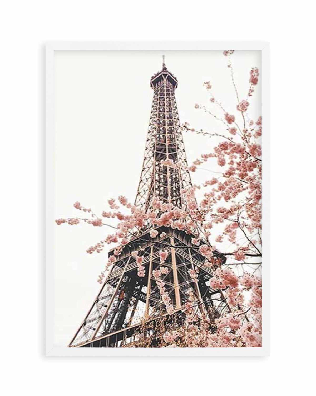 Parisian Blooms II | Square Art Print