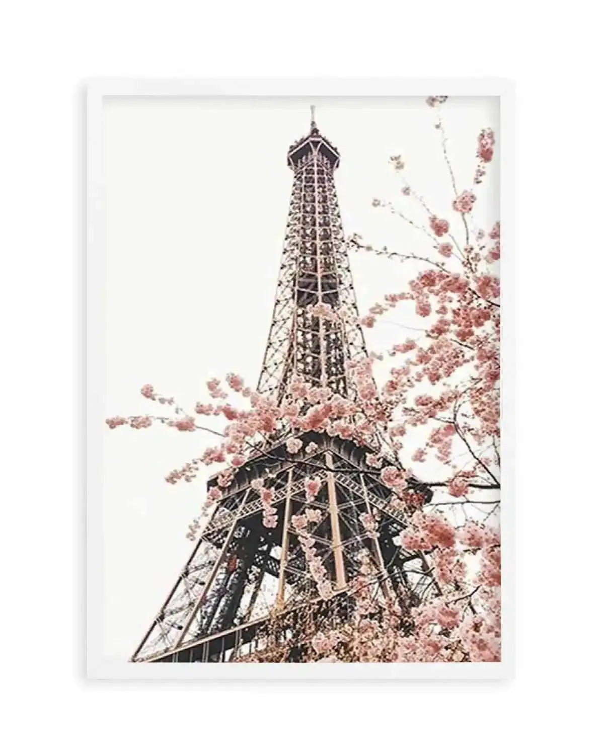 Parisian Blooms II | Square Art Print from Olive et Oriel where you can shop wallpaper and artworks online