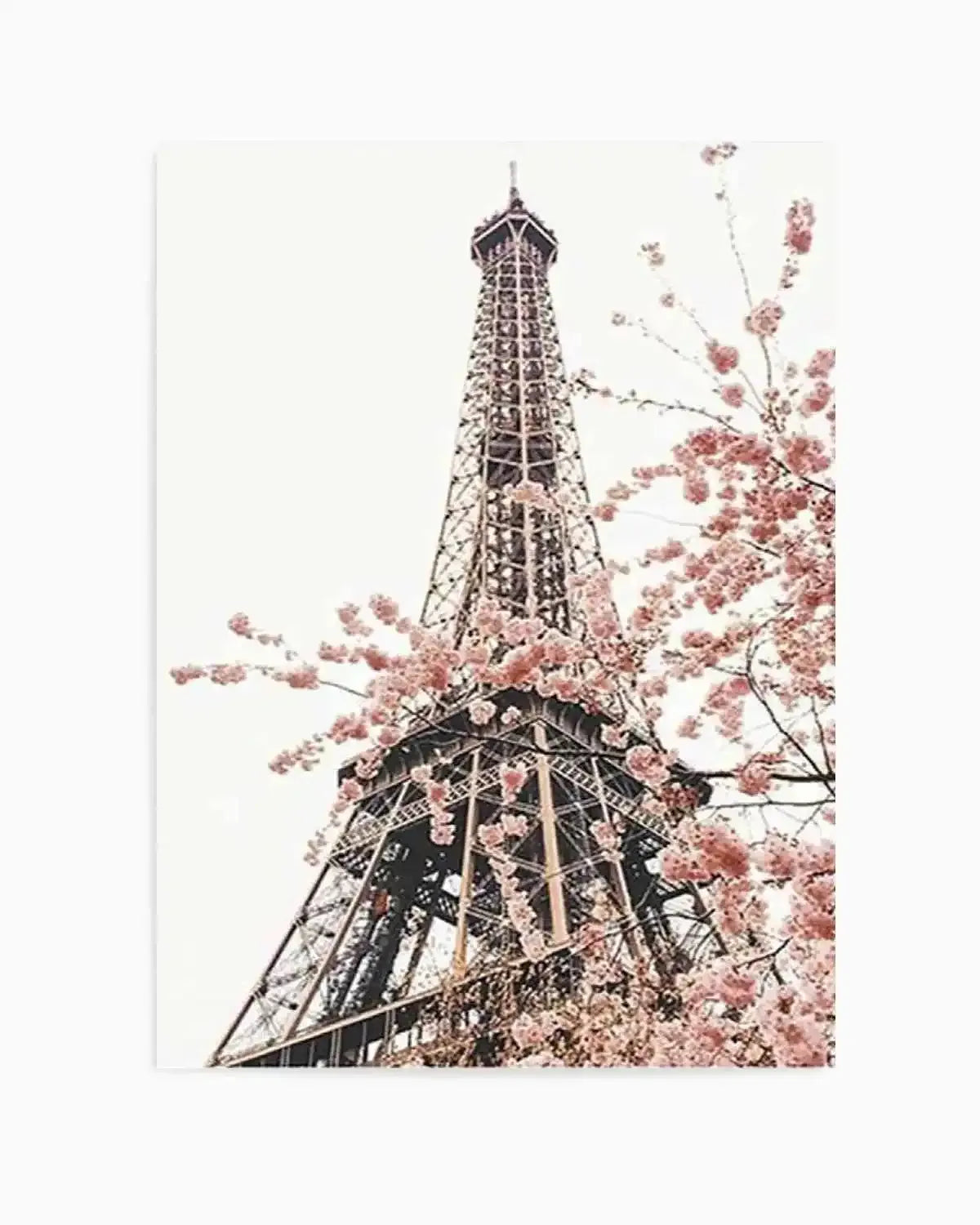 Parisian Blooms II | Square Art Print from Olive et Oriel where you can shop wallpaper and artworks online
