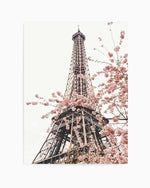 Parisian Blooms II | Square Art Print