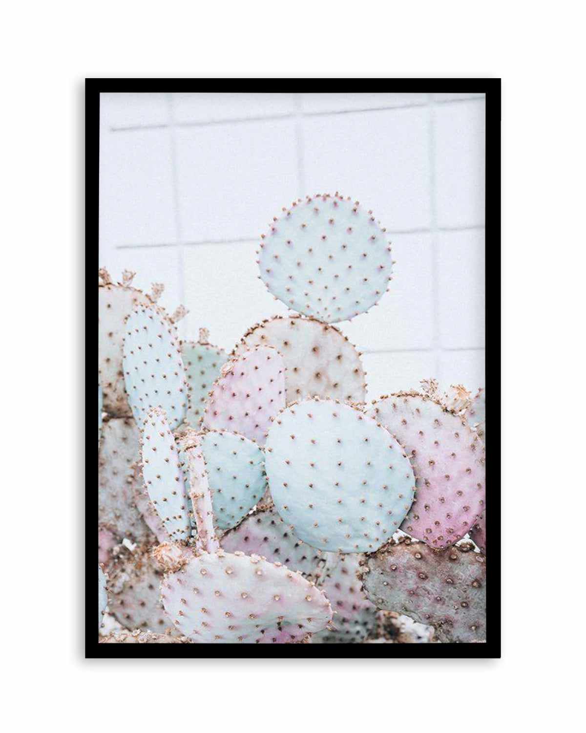 Pastel Cactus I Art Print