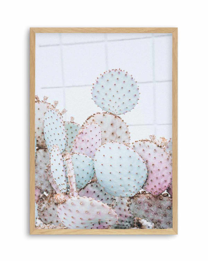 Pastel Cactus I Art Print