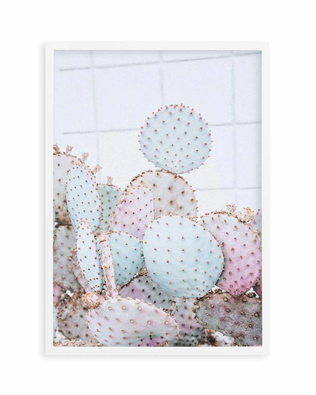 Pastel Cactus I Art Print