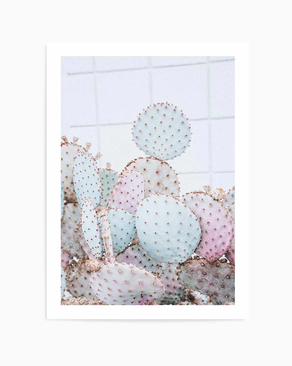 Pastel Cactus I Art Print