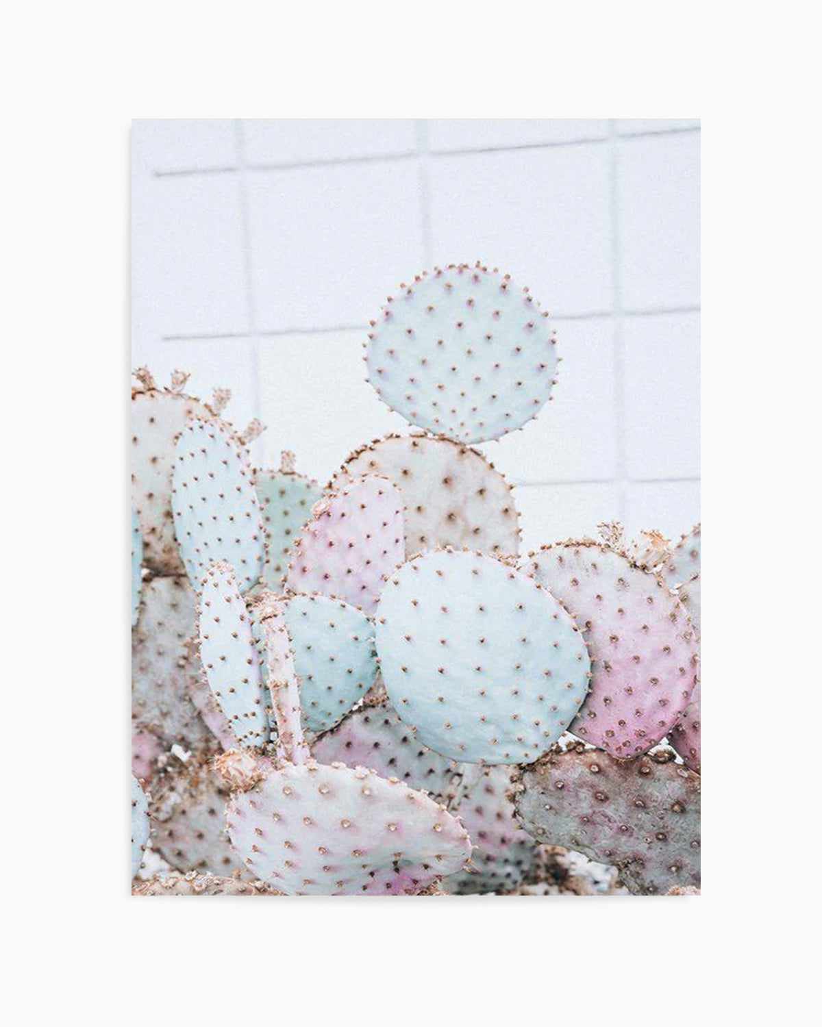 Pastel Cactus I Art Print