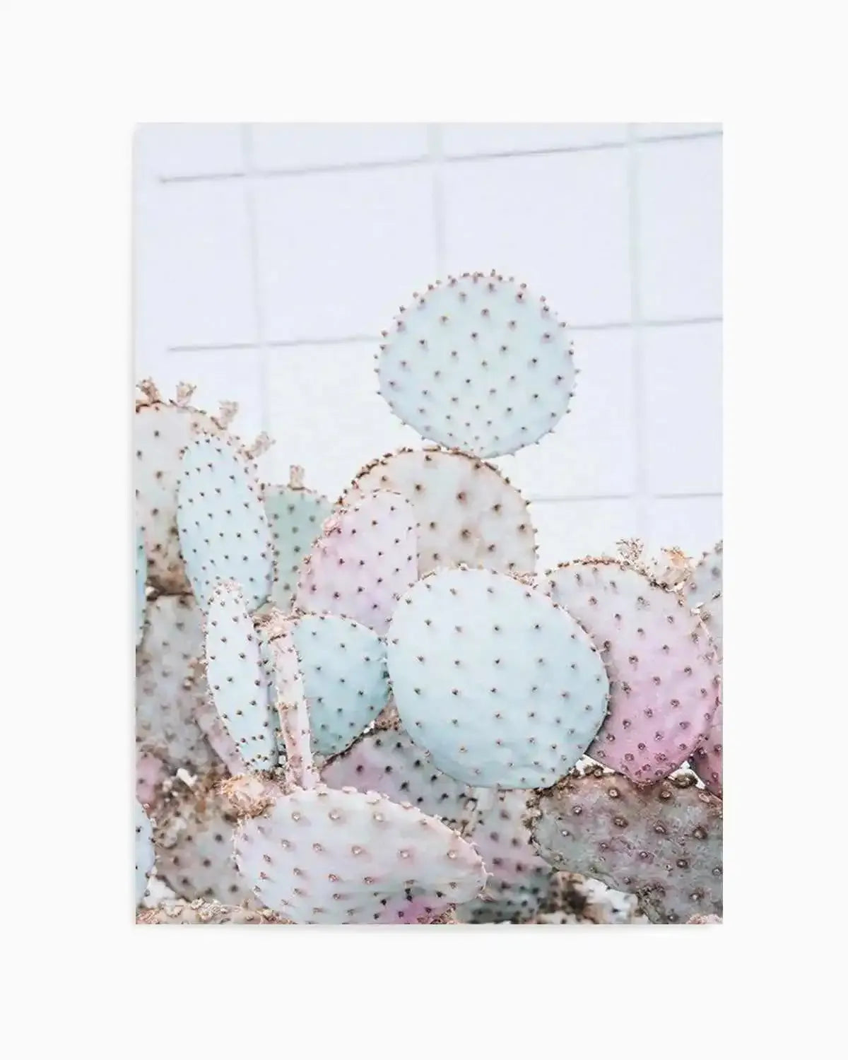 Pastel Cactus I Art Print from Olive et Oriel where you can shop wallpaper and artworks online
