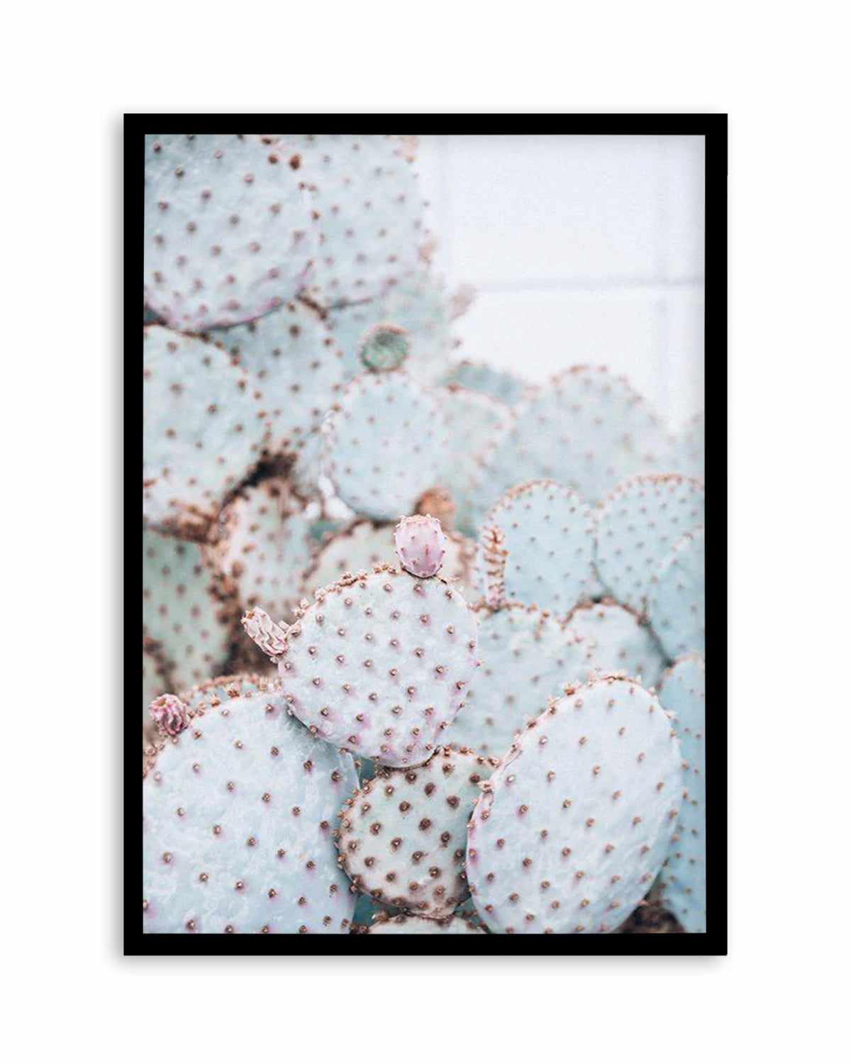 Pastel Cactus II Art Print