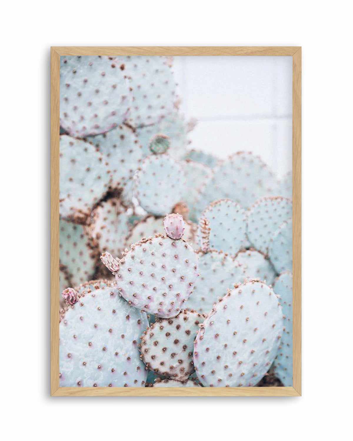 Pastel Cactus II Art Print