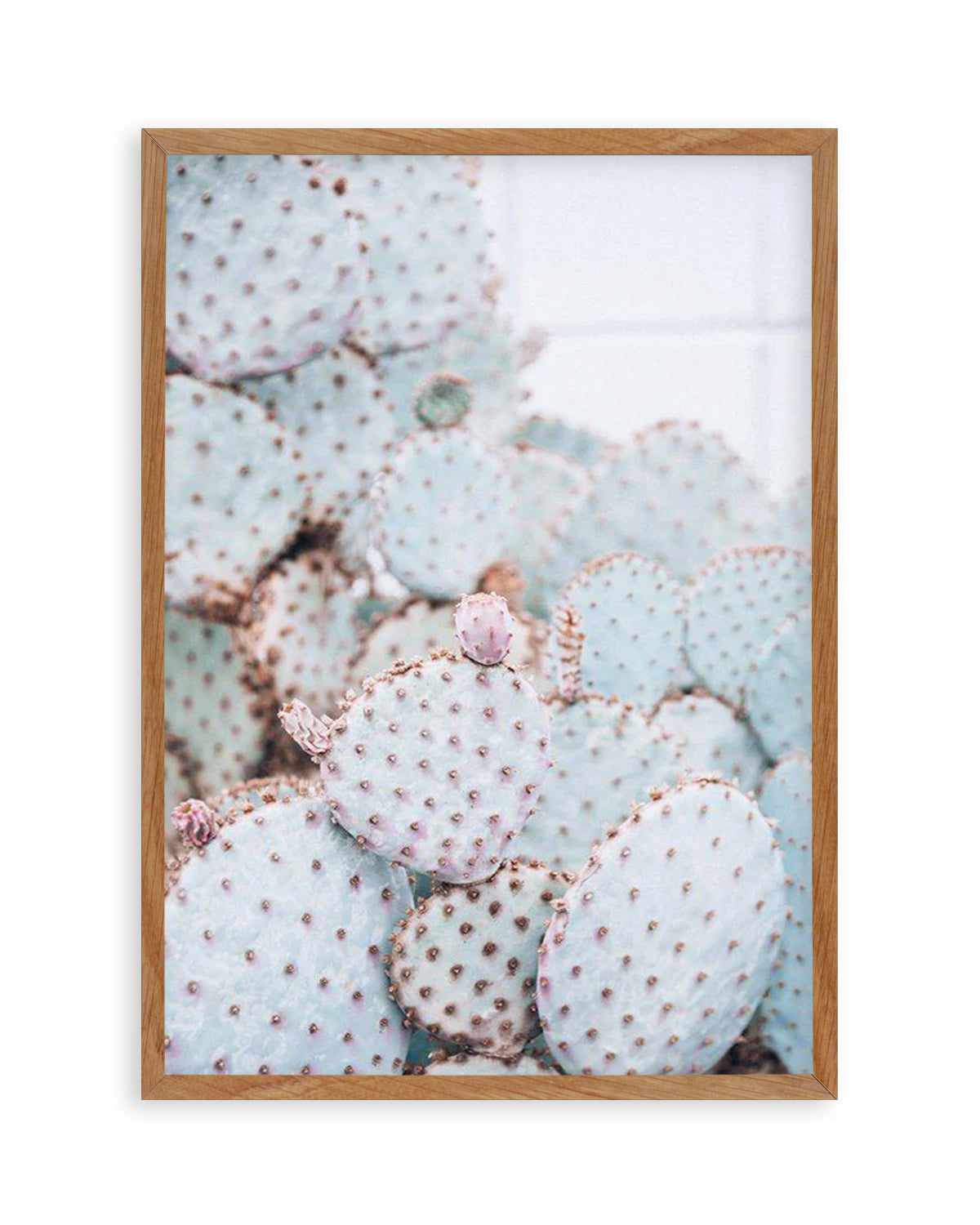 Pastel Cactus II Art Print