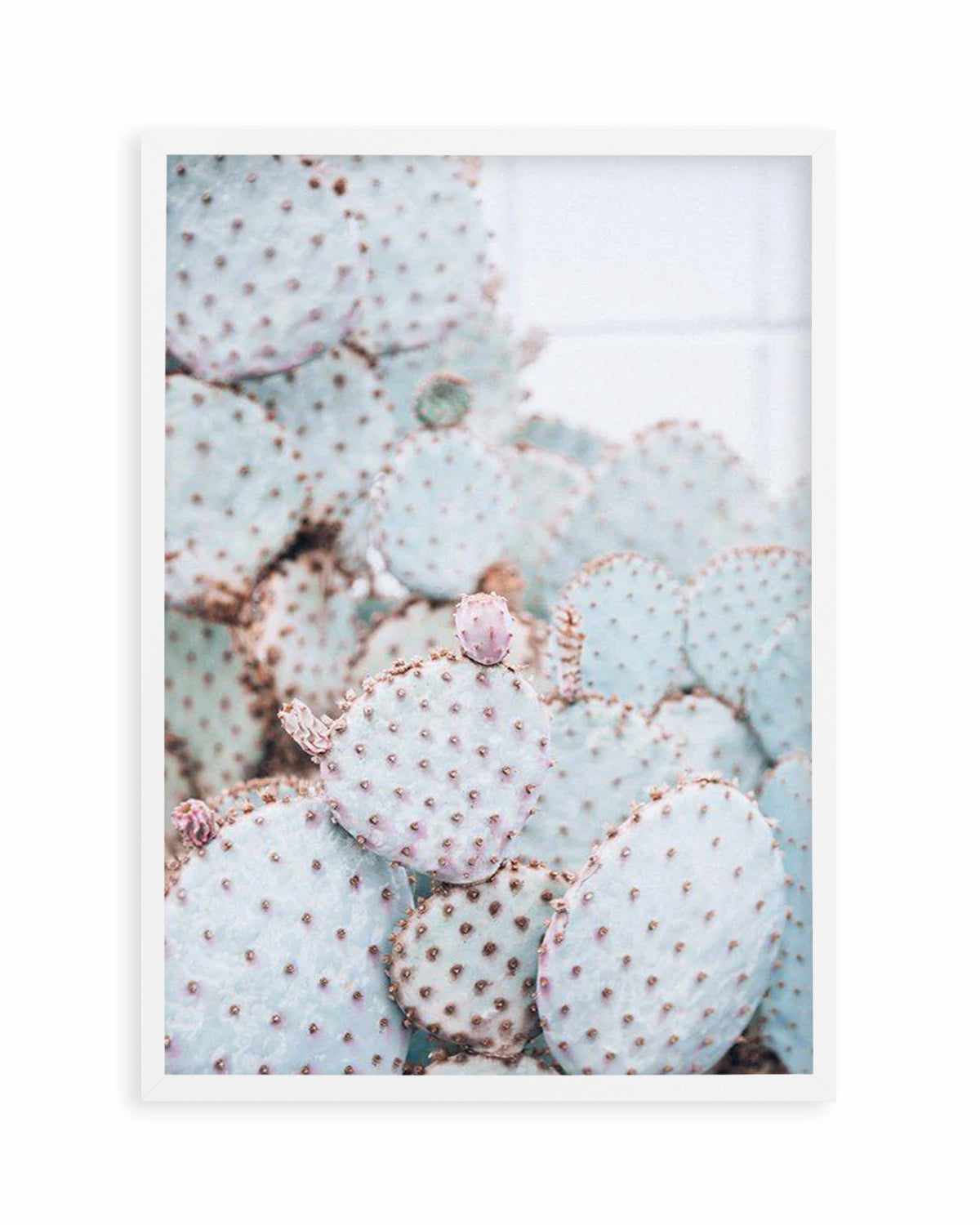 Pastel Cactus II Art Print