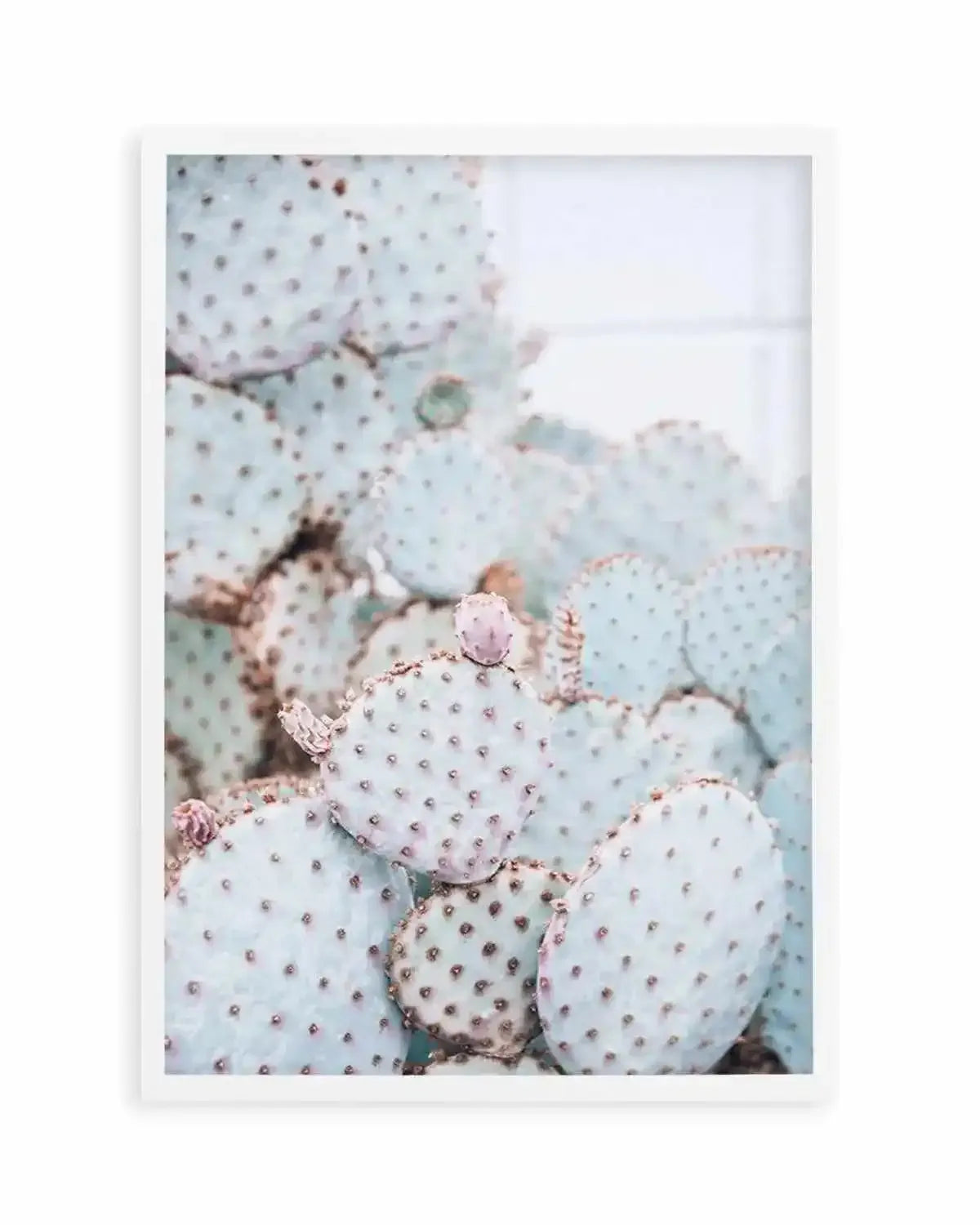 Pastel Cactus II Art Print from Olive et Oriel where you can shop wallpaper and artworks online