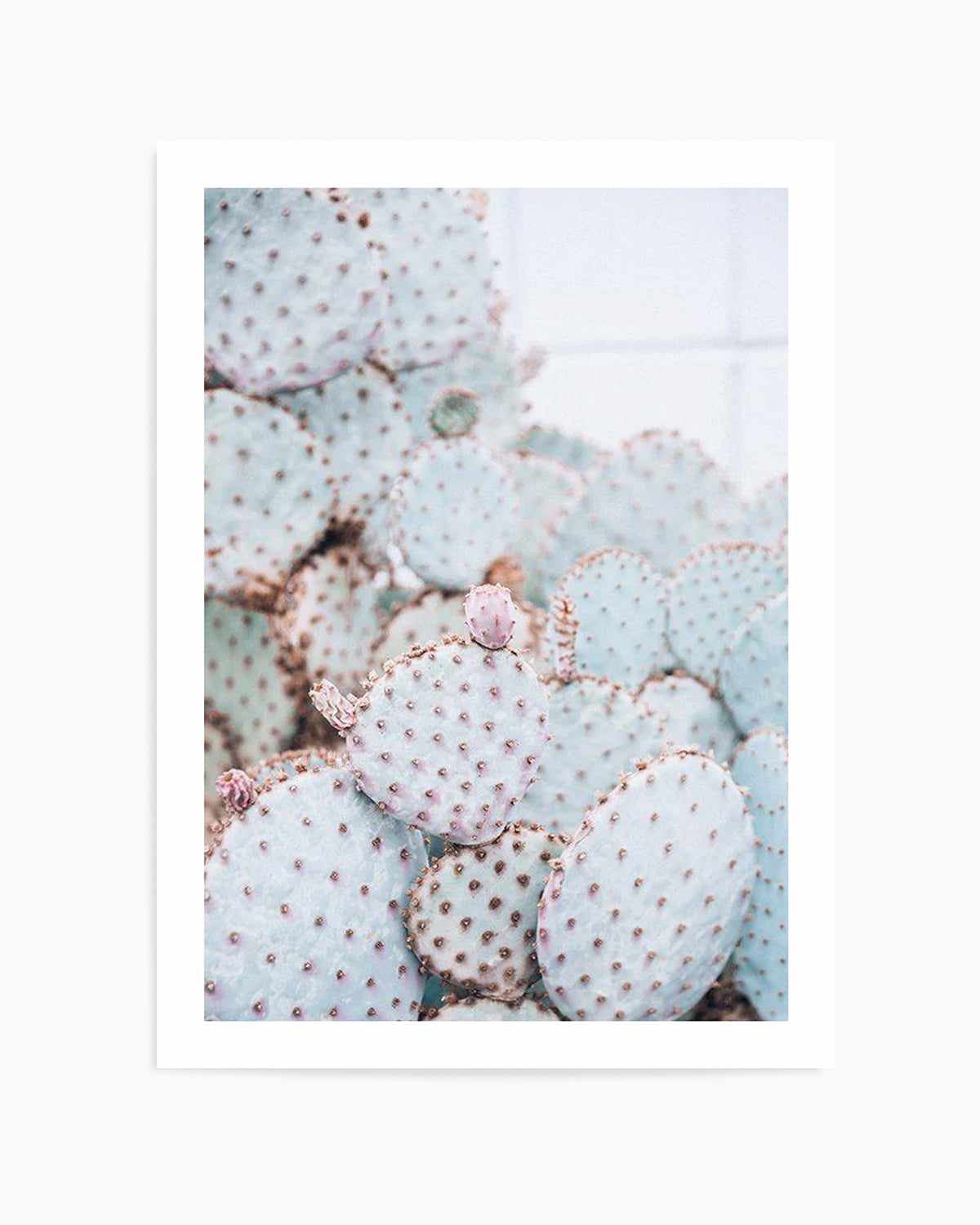 Pastel Cactus II Art Print