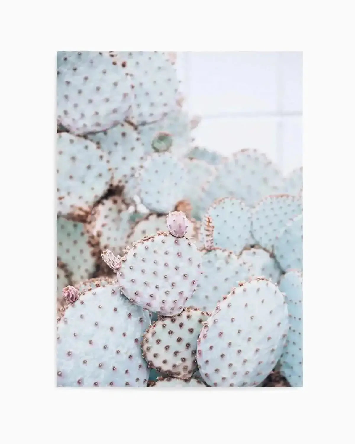 Pastel Cactus II Art Print from Olive et Oriel where you can shop wallpaper and artworks online