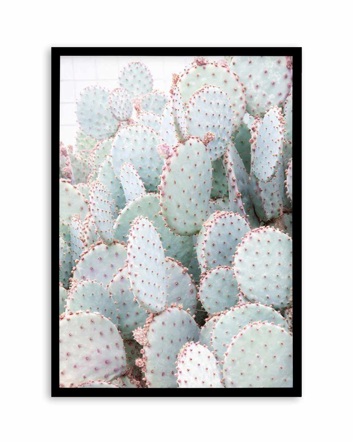 Pastel Cactus III Art Print