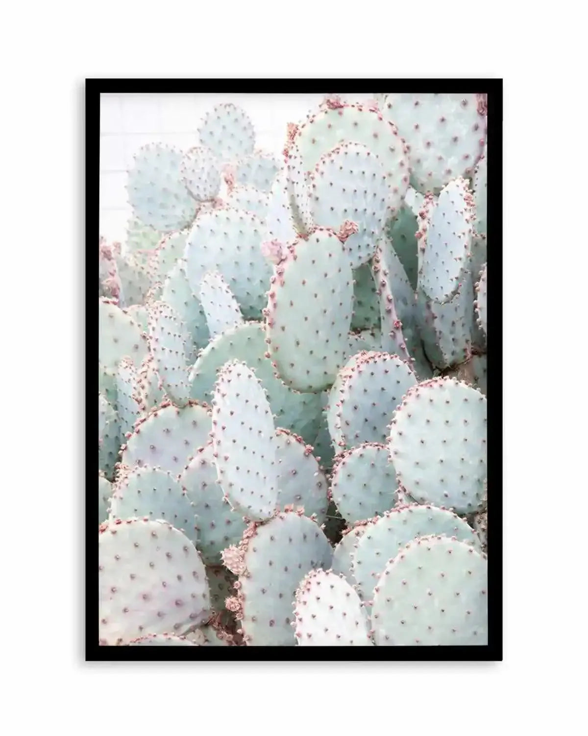 Pastel Cactus III Art Print from Olive et Oriel where you can shop wallpaper and artworks online