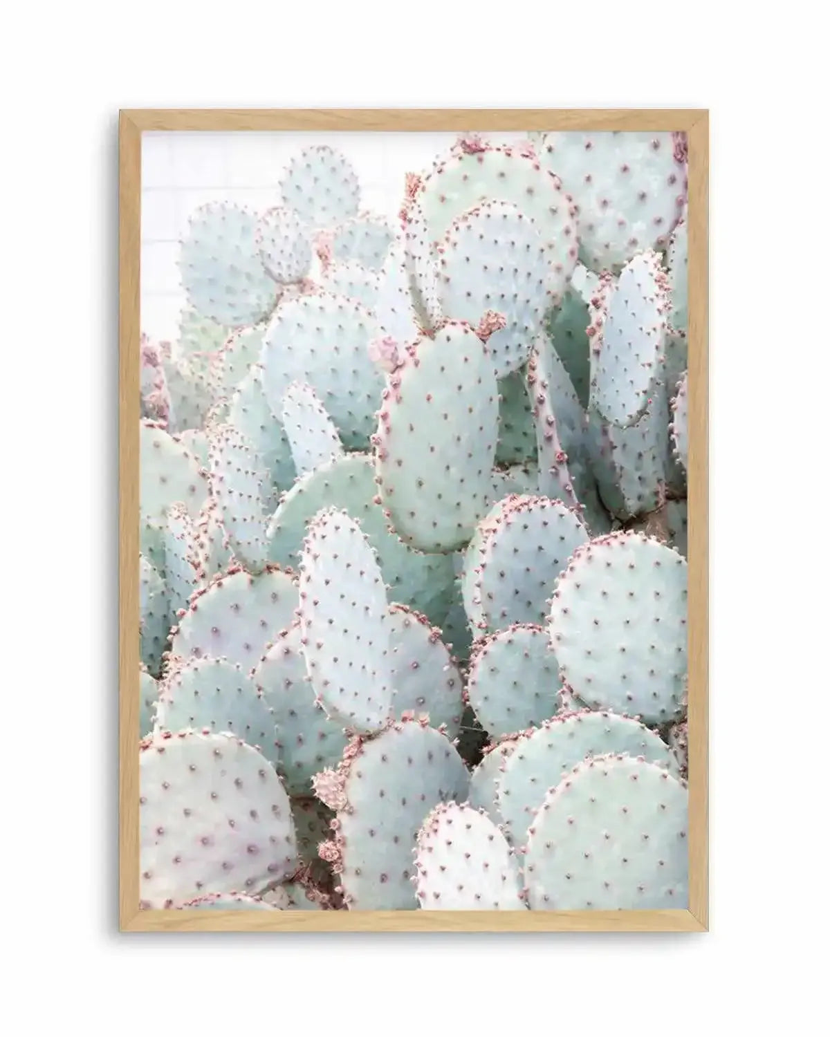 Pastel Cactus III Art Print from Olive et Oriel where you can shop wallpaper and artworks online