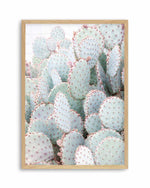Pastel Cactus III Art Print