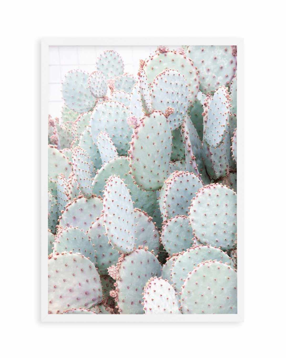 Pastel Cactus III Art Print