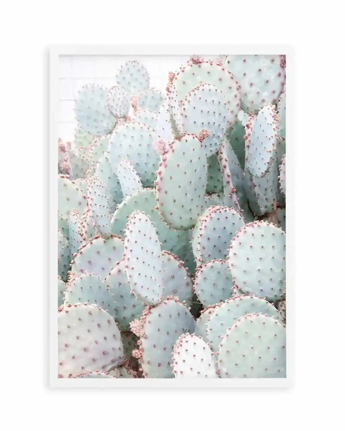 Pastel Cactus III Art Print from Olive et Oriel where you can shop wallpaper and artworks online