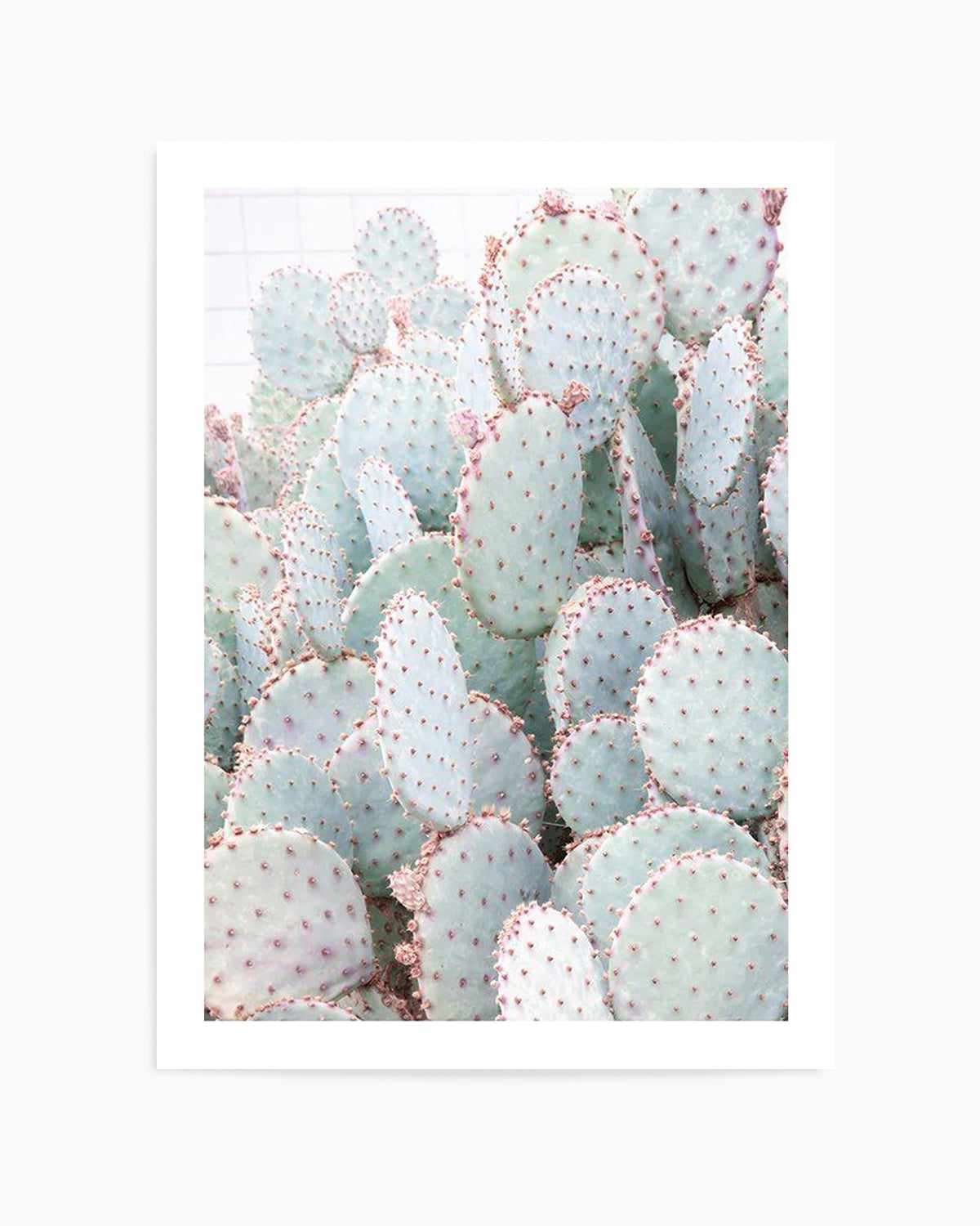 Pastel Cactus III Art Print