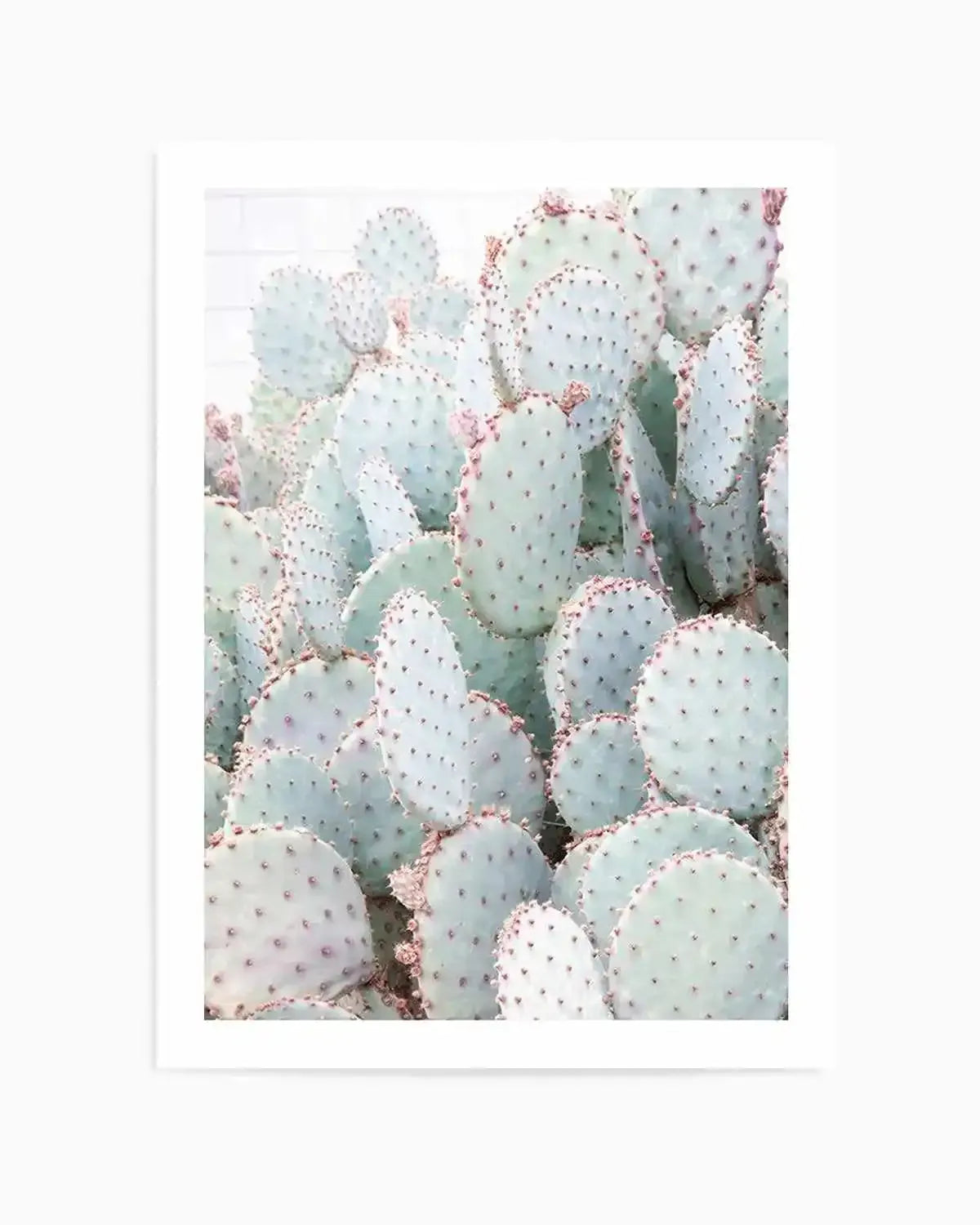 Pastel Cactus III Art Print from Olive et Oriel where you can shop wallpaper and artworks online