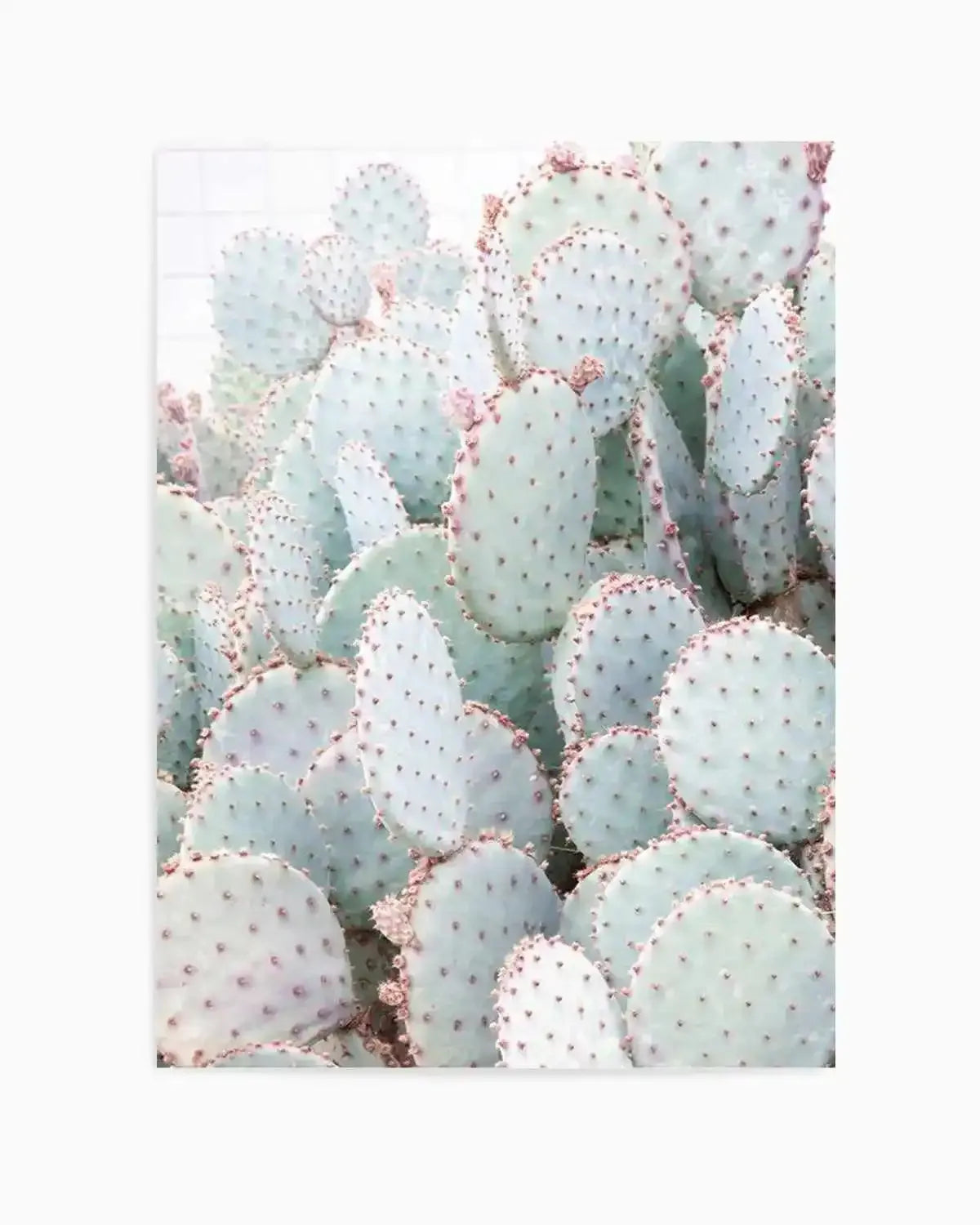 Pastel Cactus III Art Print from Olive et Oriel where you can shop wallpaper and artworks online