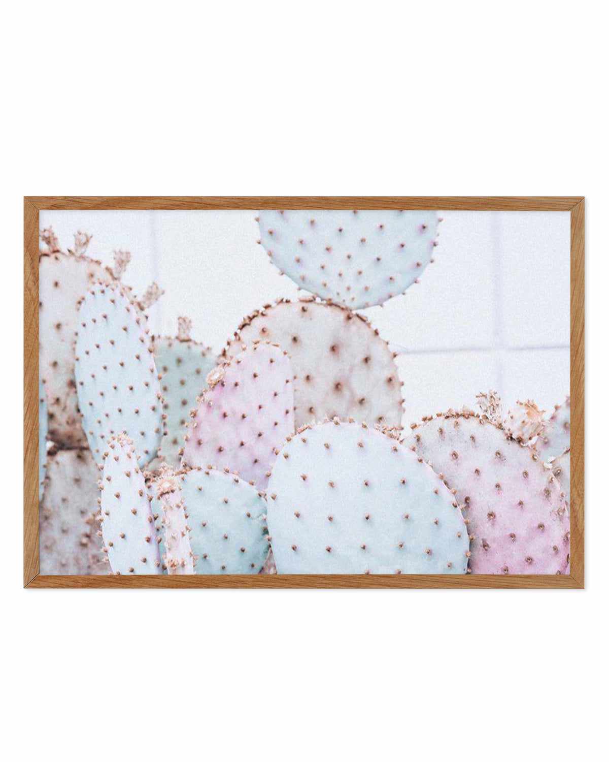 Pastel Cactus | LS Art Print