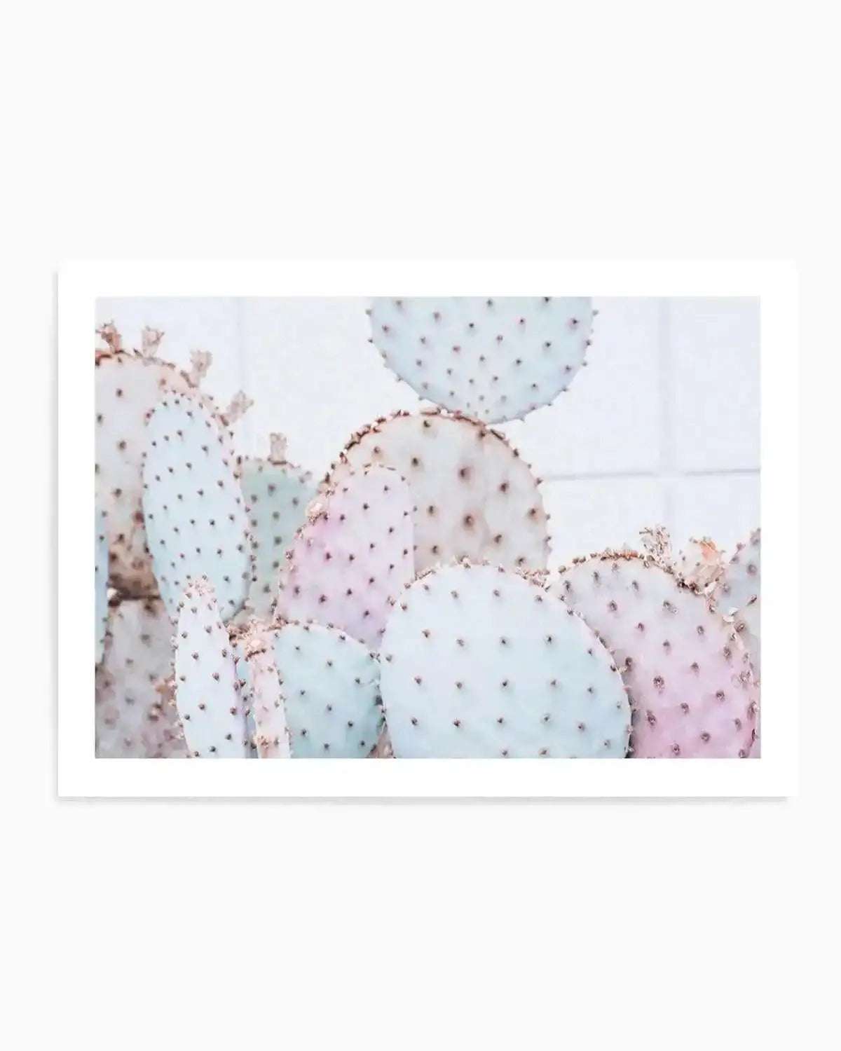 Pastel Cactus | LS Art Print from Olive et Oriel where you can shop wallpaper and artworks online