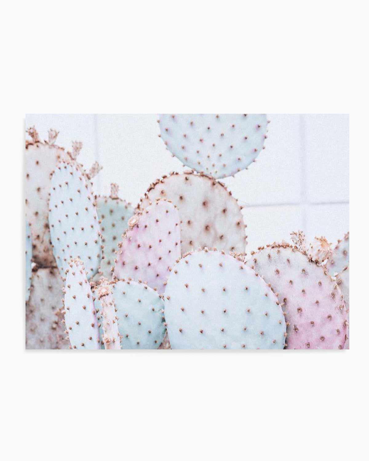 Pastel Cactus | LS Art Print