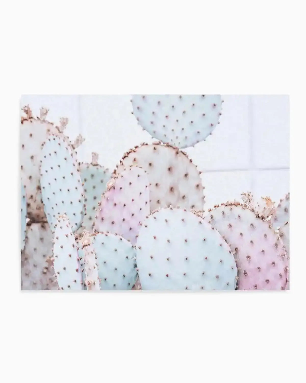 Pastel Cactus | LS Art Print from Olive et Oriel where you can shop wallpaper and artworks online