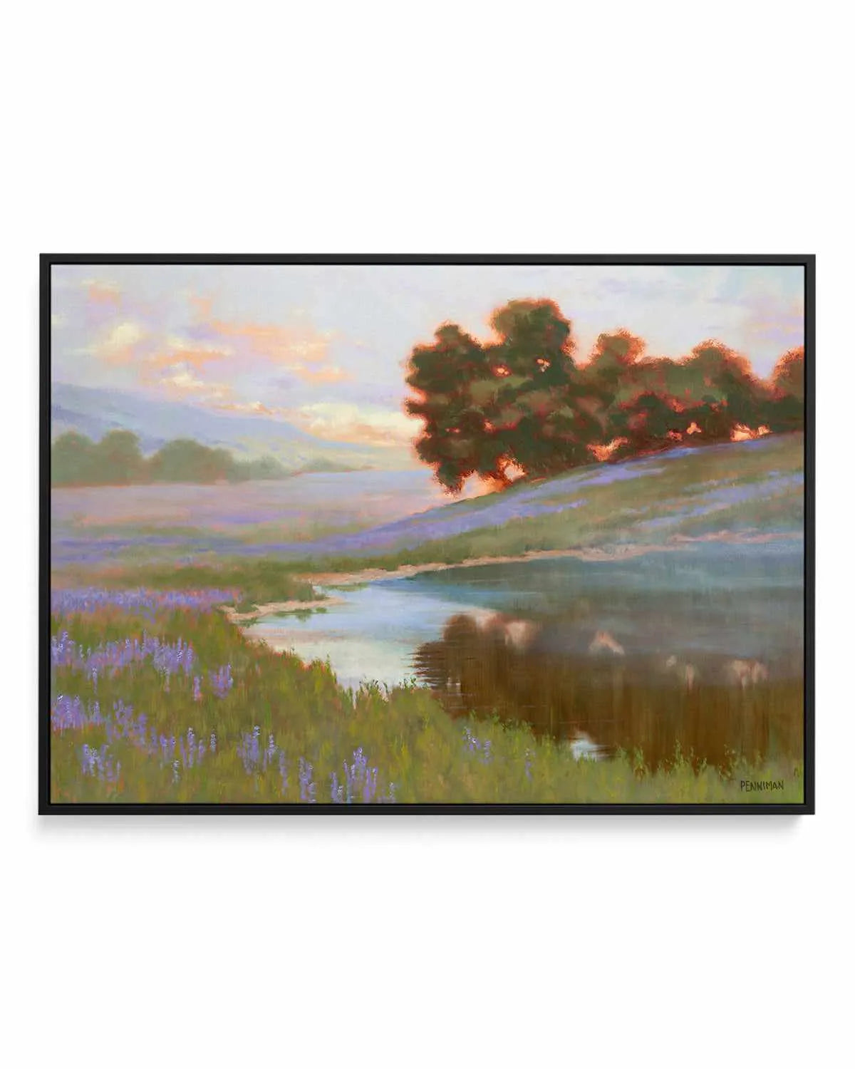 Pastel Lupin by Ed Penniman | Framed Canvas Art Print from Olive et Oriel where you can shop wallpaper and artworks online