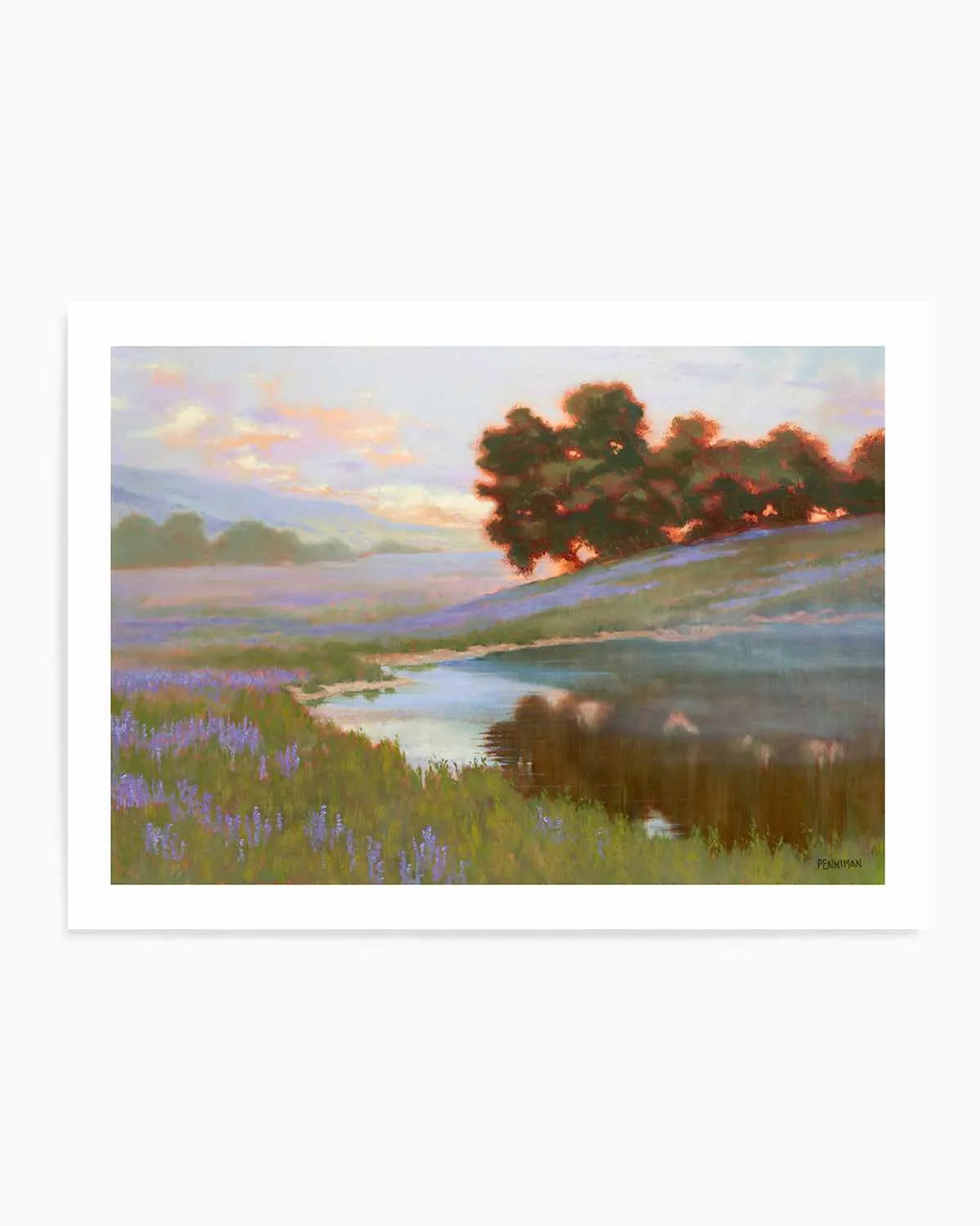 Pastel Lupin by Ed Penniman Art Print from Olive et Oriel where you can shop wallpaper and artworks online