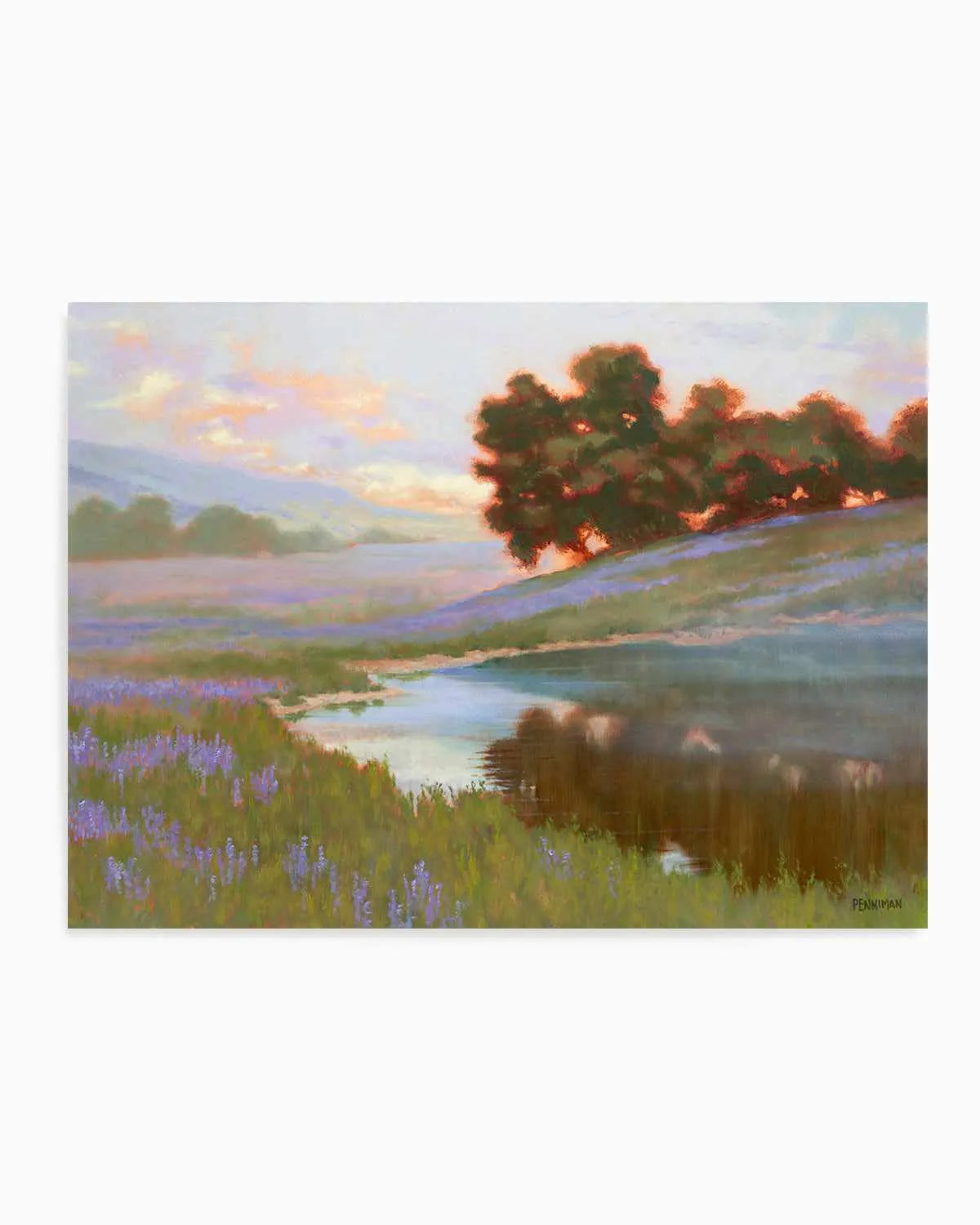 Pastel Lupin by Ed Penniman Art Print from Olive et Oriel where you can shop wallpaper and artworks online