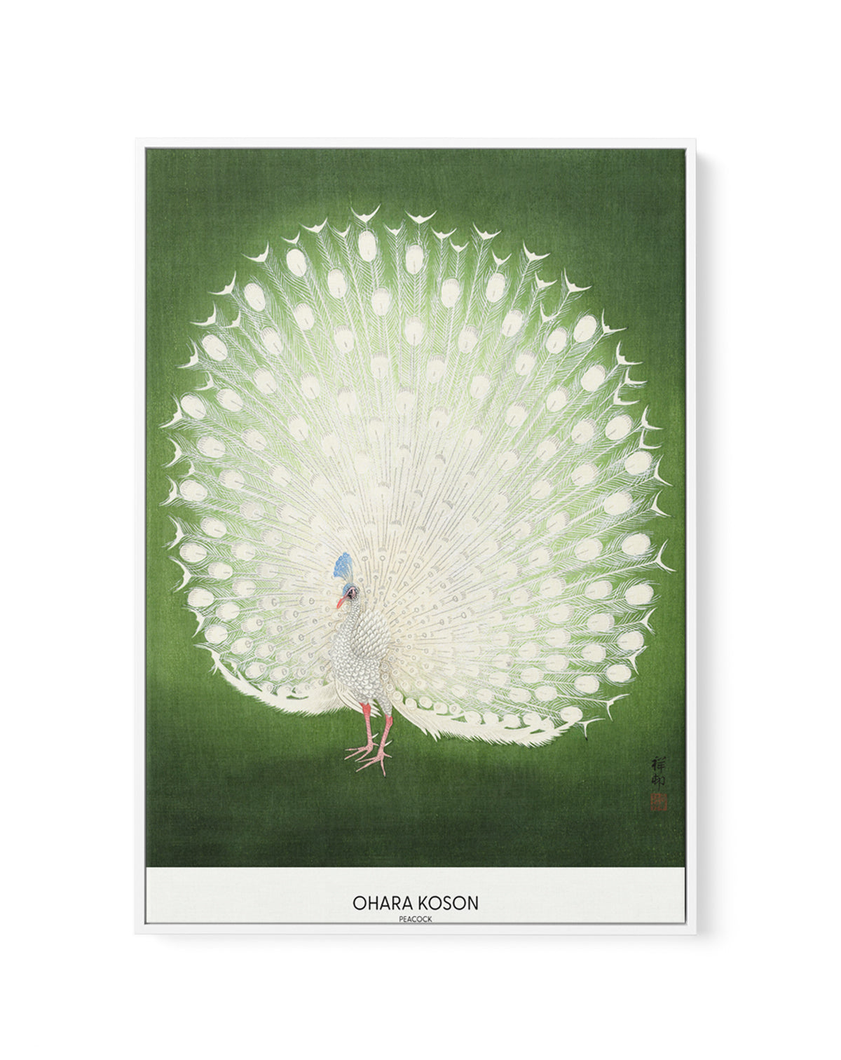 Peacock | Framed Canvas Art Print
