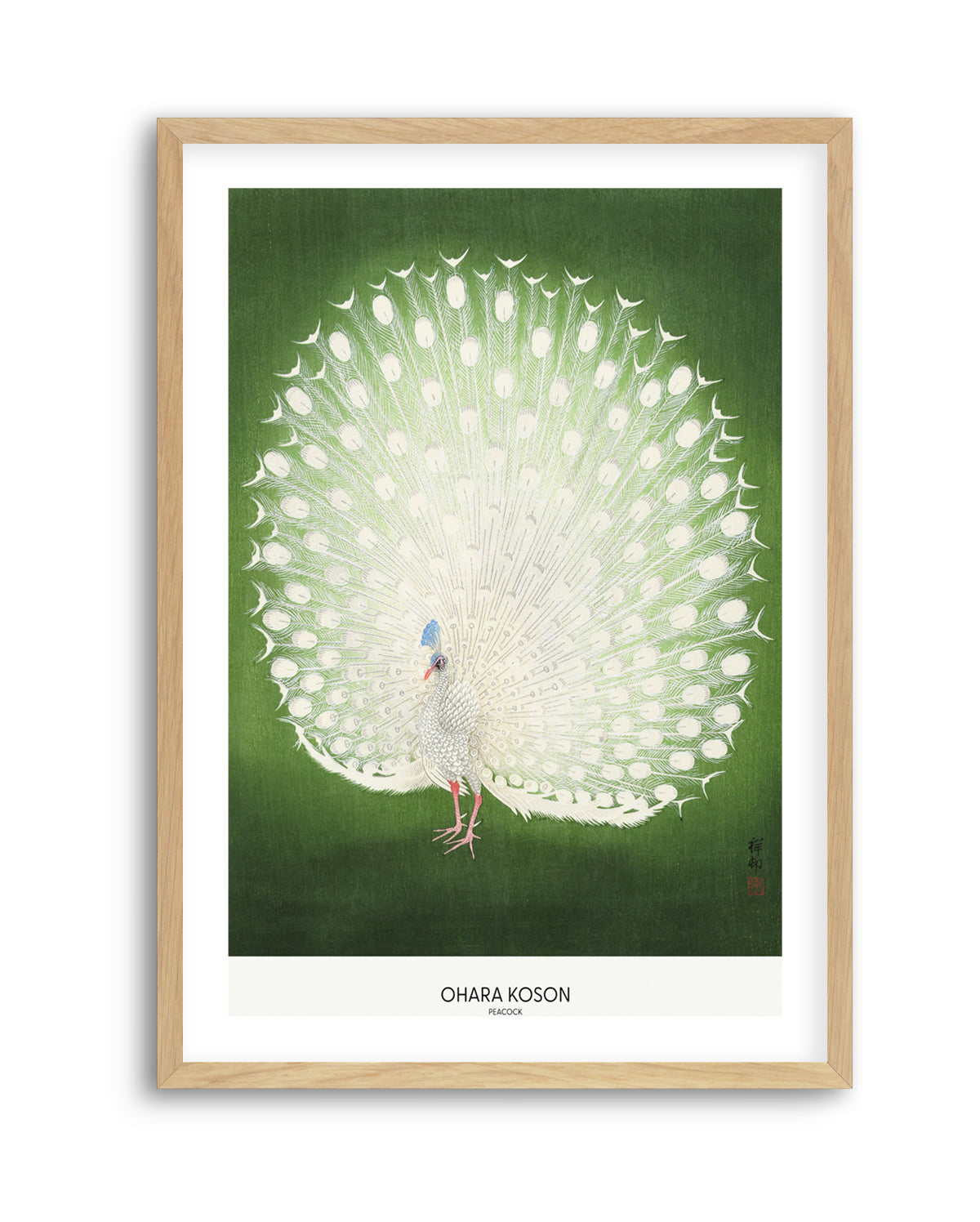 Peacock | Art Print