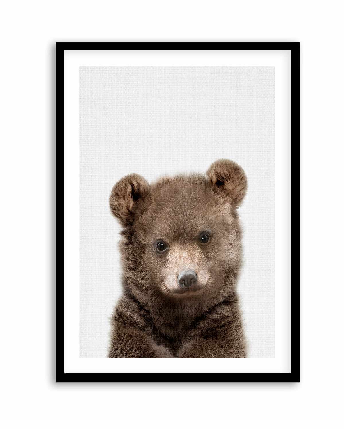 Peakaboo Baby Bear By Lola Peacock | Art Print