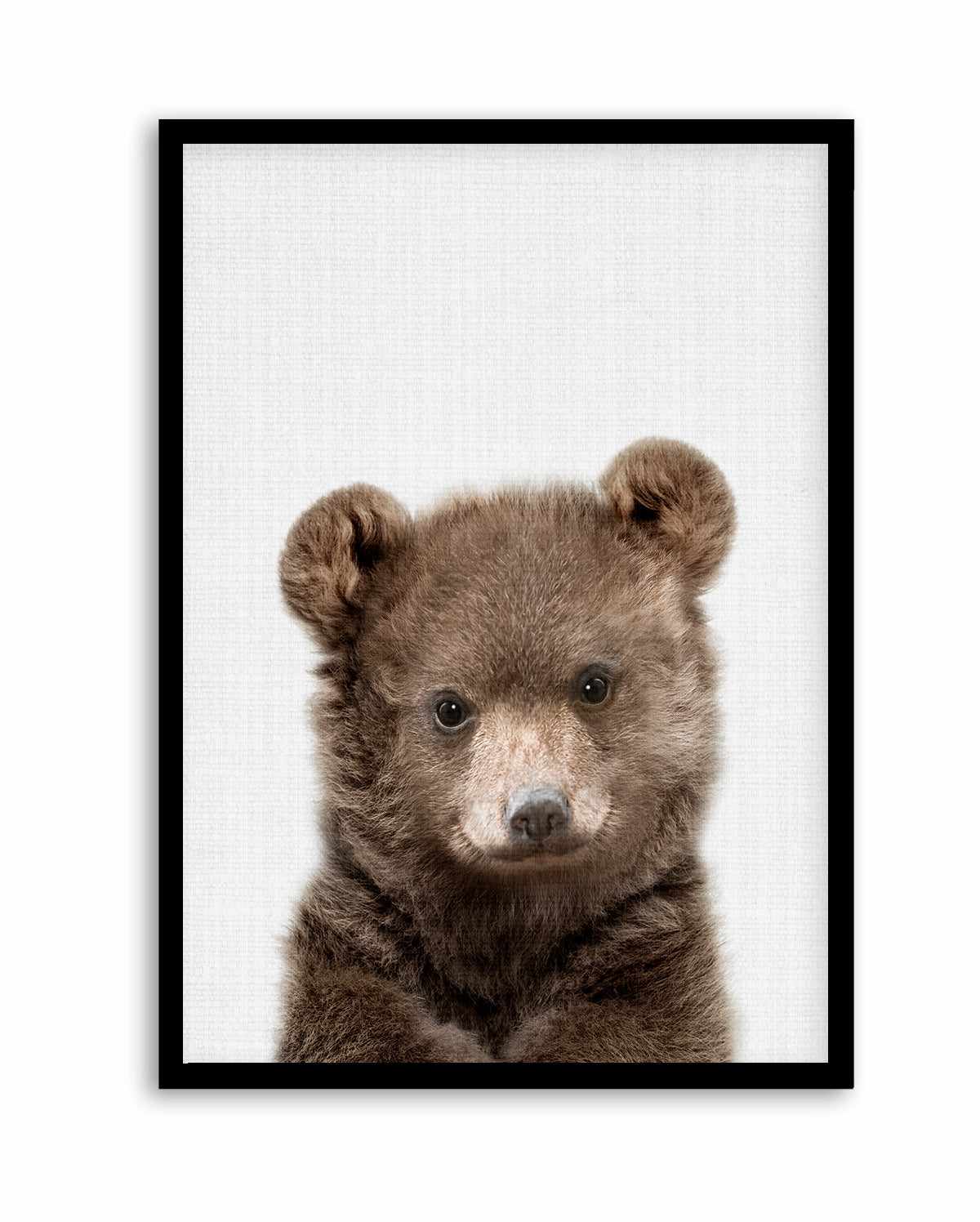 Peakaboo Baby Bear By Lola Peacock | Art Print