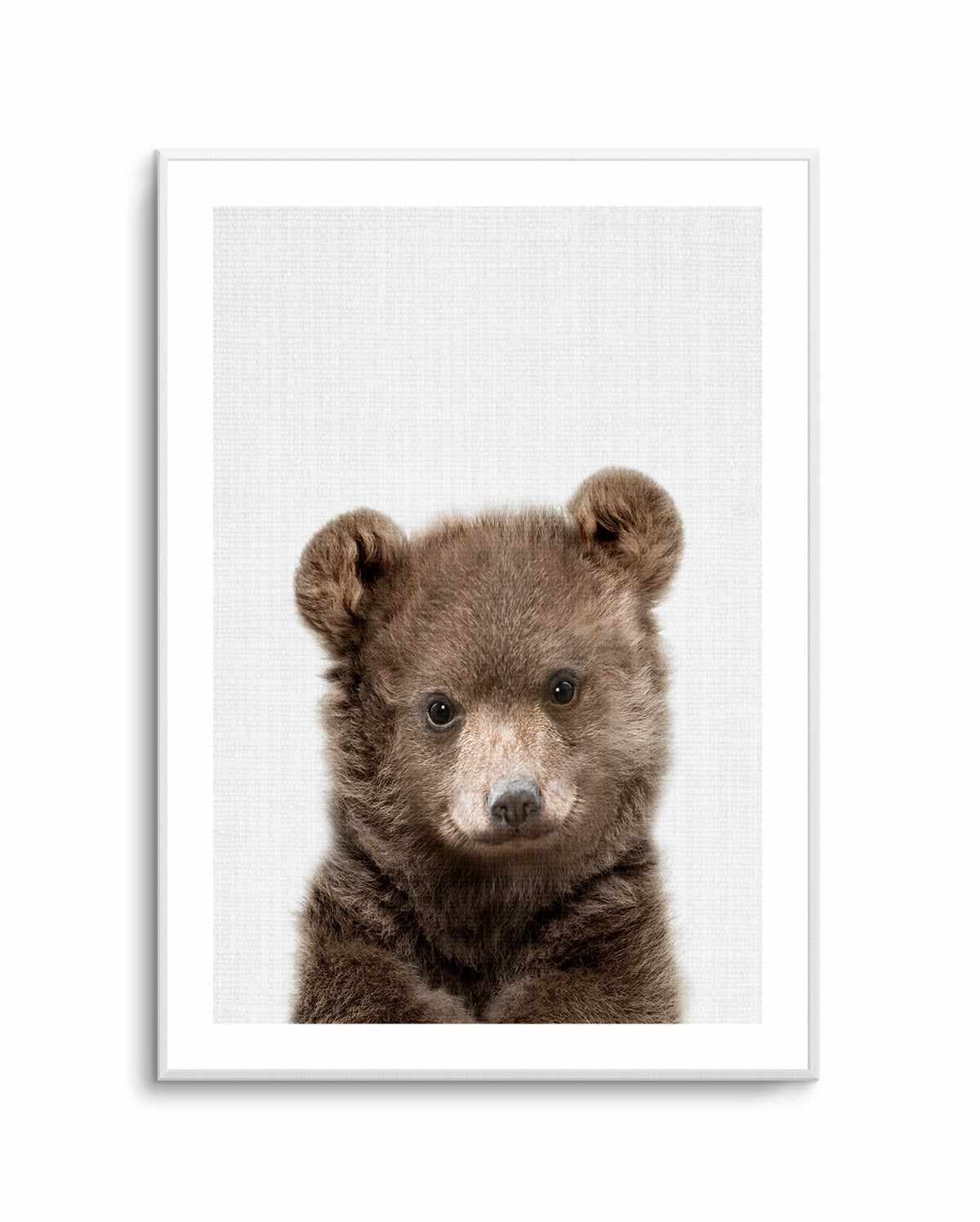 Peakaboo Baby Bear By Lola Peacock | Art Print