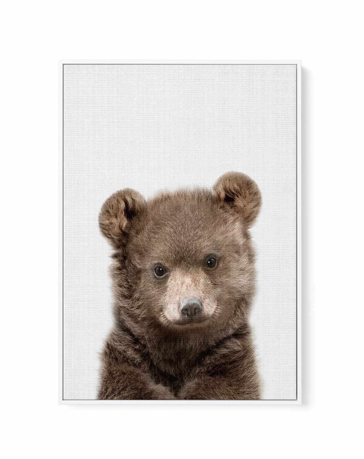 Peakaboo Baby Bear By Lola Peacock | Framed Canvas Art Print