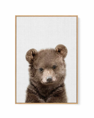 Peakaboo Baby Bear By Lola Peacock | Framed Canvas Art Print from Olive et Oriel where you can shop wallpaper and artworks online