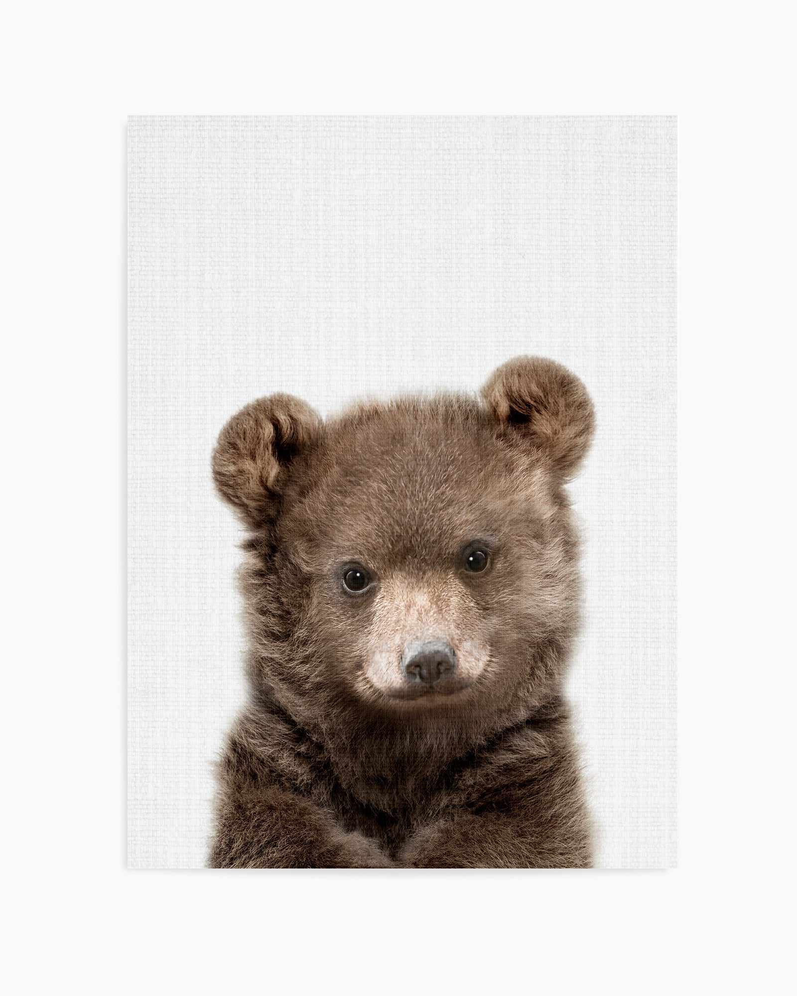 Peakaboo Baby Bear By Lola Peacock | Art Print