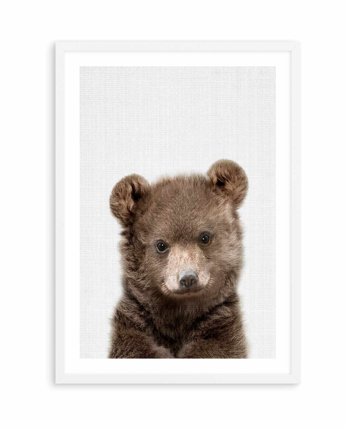 Peakaboo Baby Bear By Lola Peacock | Art Print