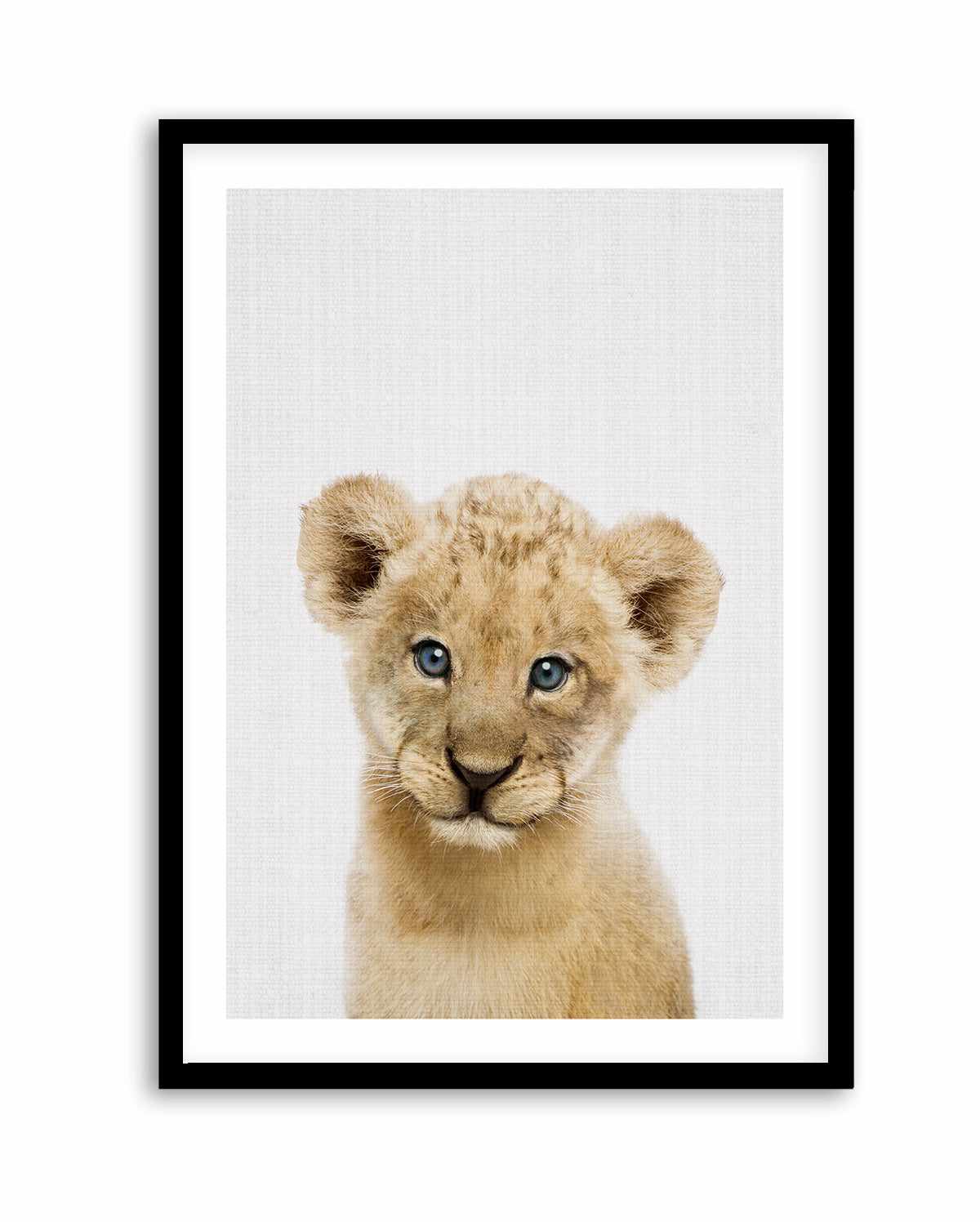 Peakaboo Baby Lion By Lola Peacock | Art Print