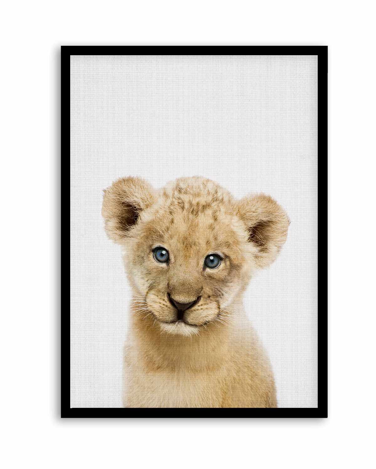 Peakaboo Baby Lion By Lola Peacock | Art Print