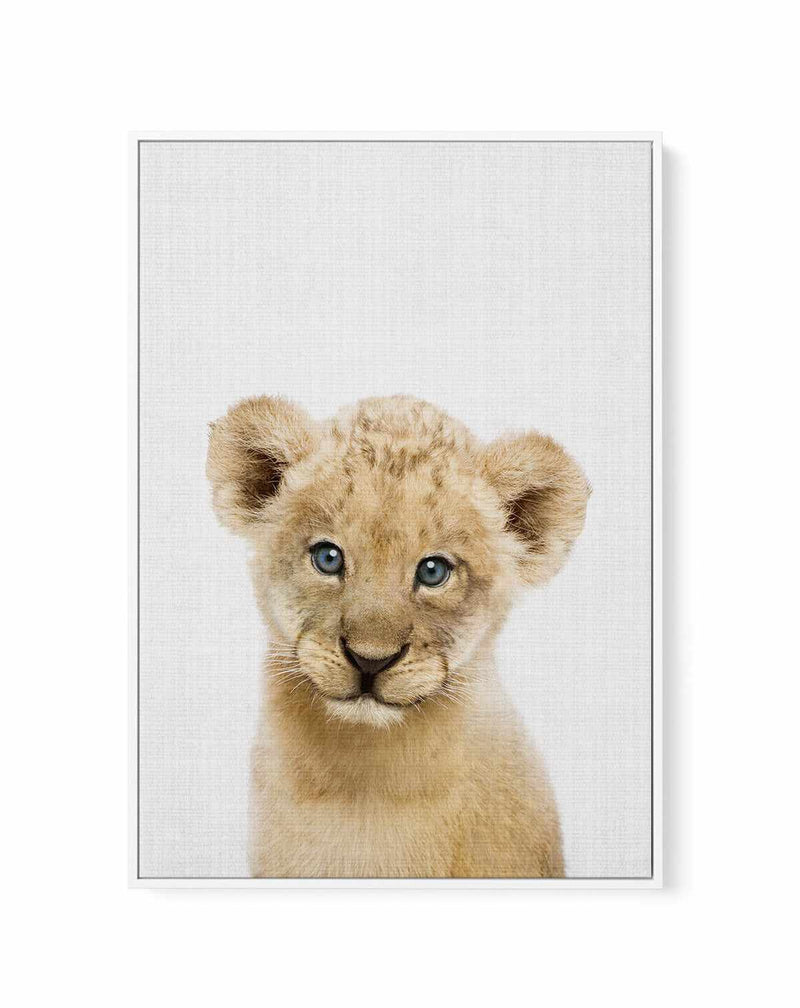 Peakaboo Baby Lion By Lola Peacock | Framed Canvas Art Print