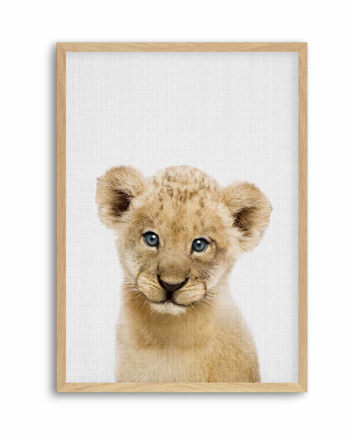 Peakaboo Baby Lion By Lola Peacock | Art Print