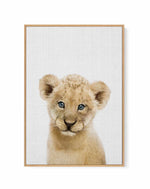 Peakaboo Baby Lion By Lola Peacock | Framed Canvas Art Print